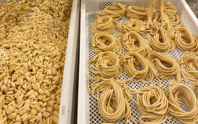 Pasta fresca Tempini Jesolo